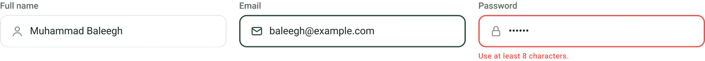 Input fields in default, focused and error states